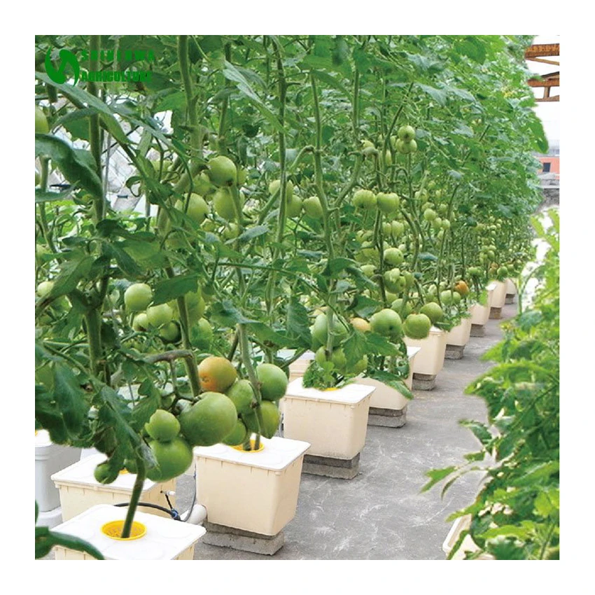 hydroponic pot dutch bucket greenhouse hydroponic