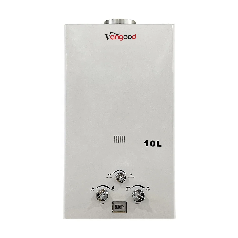 Natural Boiler Instant Calefones A Gas 10 Liter Gaz Water Heater