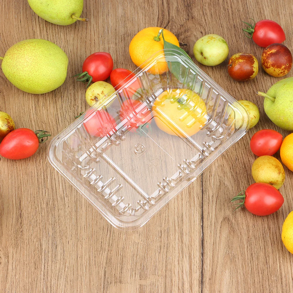 Disposable PET Plastic Food Trays Clear Fruit Food Packing Display for Dry Fruit Vegetable Snacks 19*14*2.5cm Plastic Dish