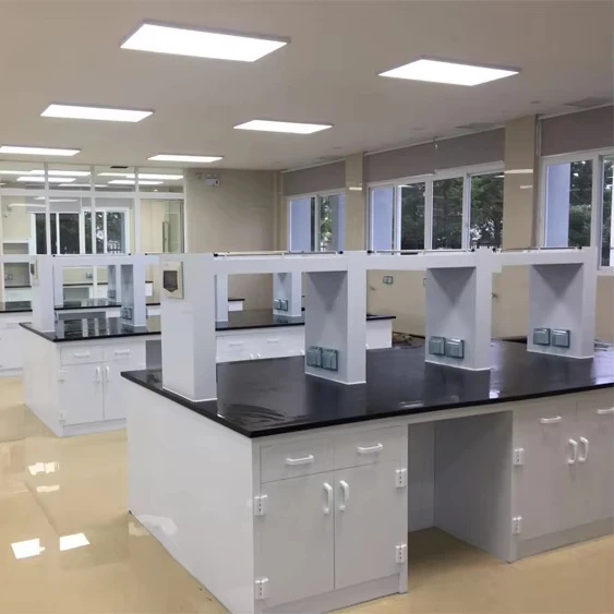 Лучшая цена на химическую лабораторную мебель лабораторный стенд \/Casework сильное сопротивление щелочи