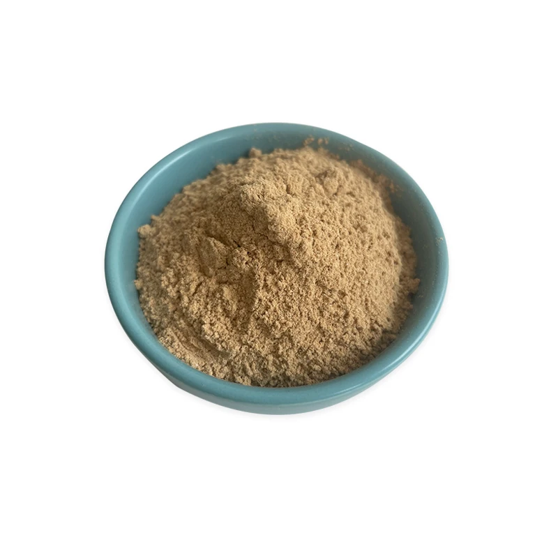 Ciyuan Bio High Quality  niu bang gen burdock root Arctium Lappa Burdock Root Extract