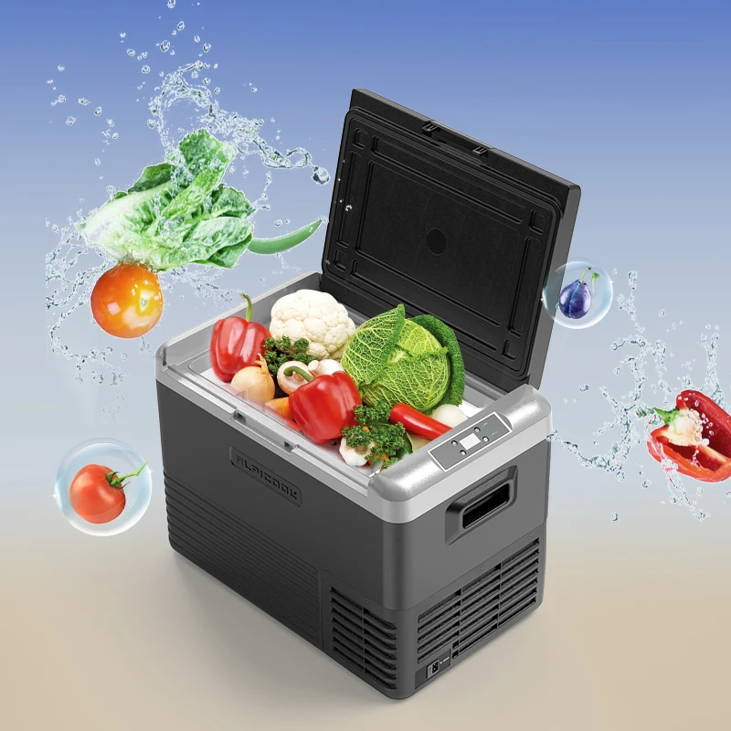 40L Portable 12v 24v Dc Micro Mobile Deep Freezer for Camping Outdoor Car Chinese Technology Power Performance Adjustable Foam