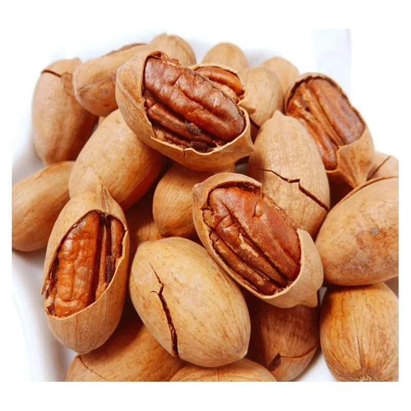 Raw Roasted Baked Salted Pecan Nuts with Shell Bags For Sale At Best Prices