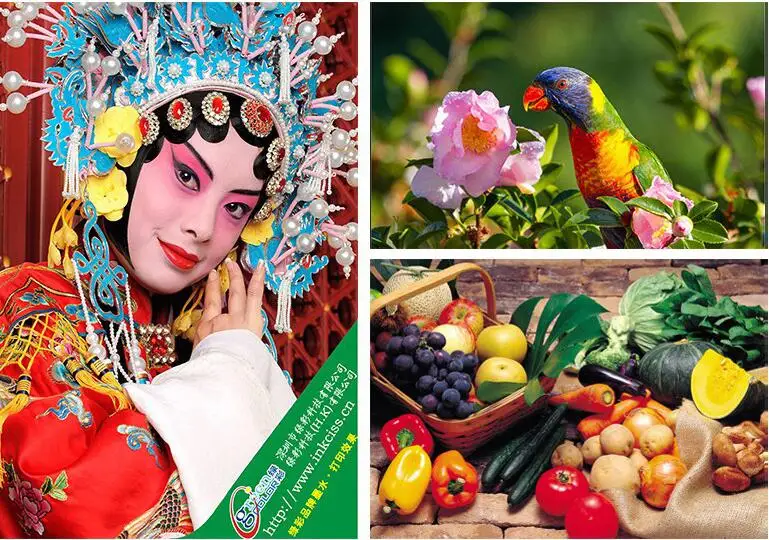 70ml T103 103 T544 544 T522 T003 003 premium dye ink for Epson L1119 L1118  L3150 L3151 L3110 L3118 L3119 a4 inkjet printer