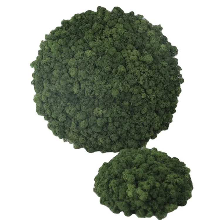 Eco-Friendly Reindeer Artificial Moss Lichen Green Decor Stabilized Preserved Moss