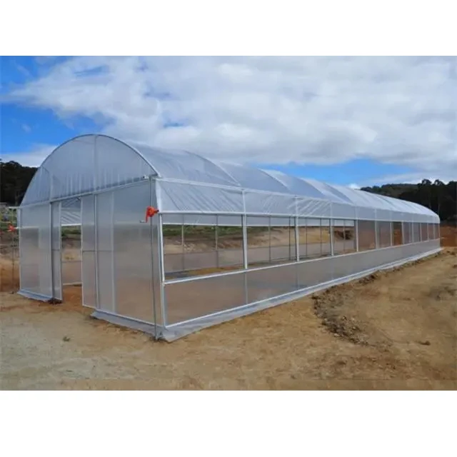Custom 10-100m commercial Cheap Single-spanTunnel hoop greenhouse Plastic Pe Film tomato Agricultural greenhouse