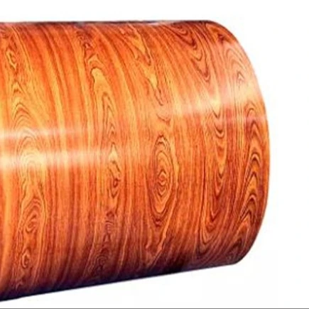 PPGI prepainted galvanized coils DX51D Color Coated galvanized steel coil customized