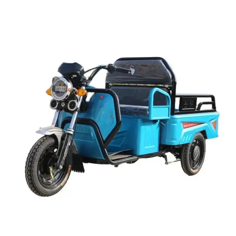 1000W wholesaler adults Multi-functional convenience tricycle electric bike electric cargo tricycle Triciclo Electrico