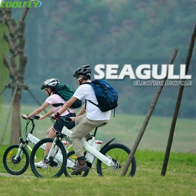 2024 новый продукт 26 Чайка e bike 1000 эко-велотренажер Электрический велосипед Великобритания