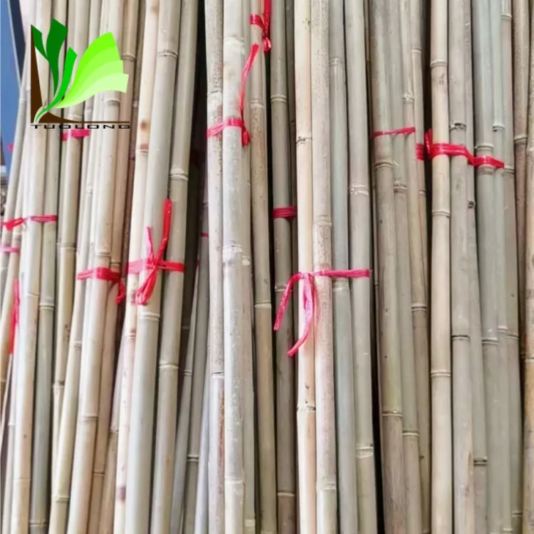 Wholesale Natural Dry Straight Raw Tonkin Bamboo Stake for Garden