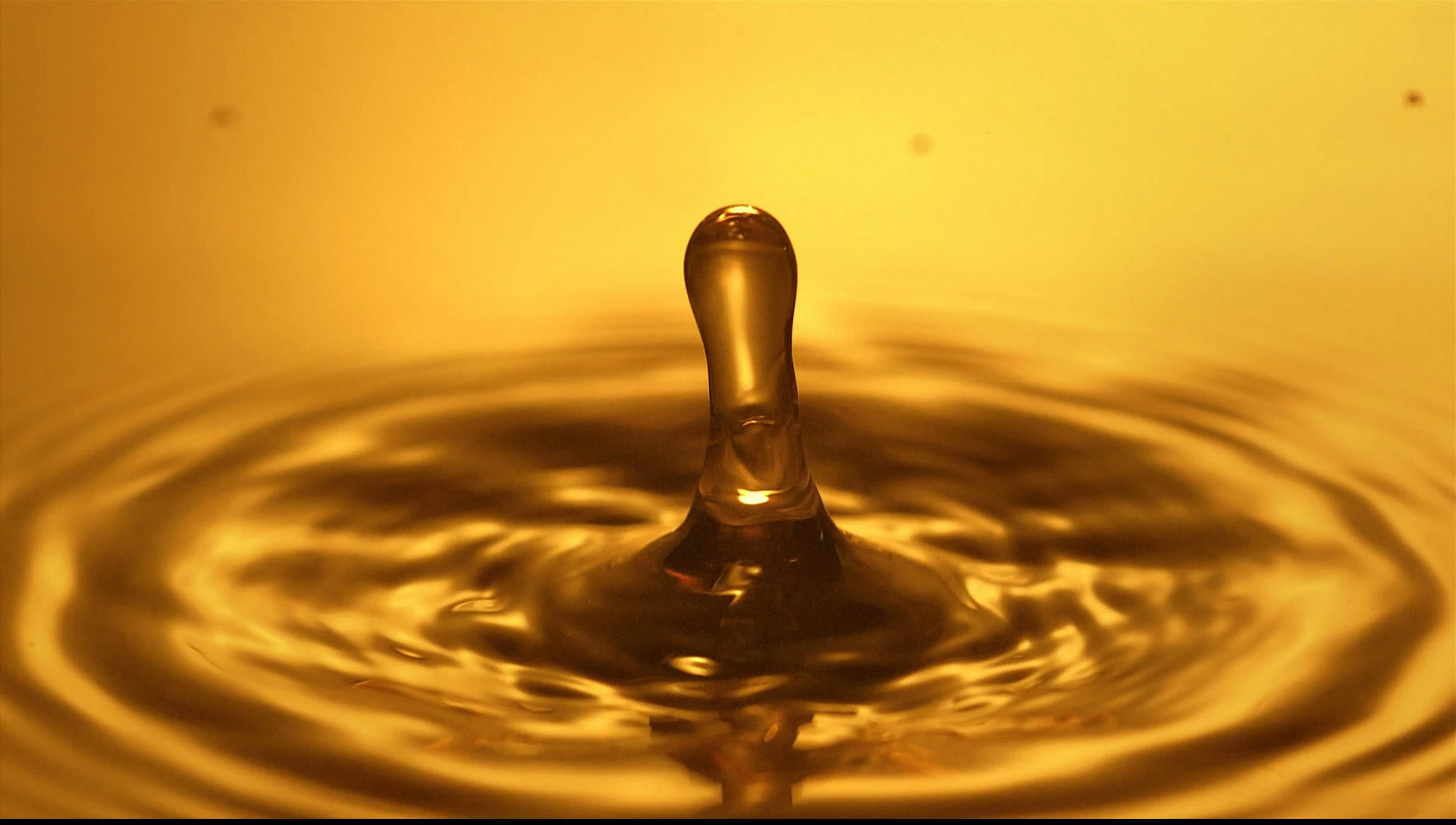 Qing Chun Jun Lang Shaoxing yellow rice wine