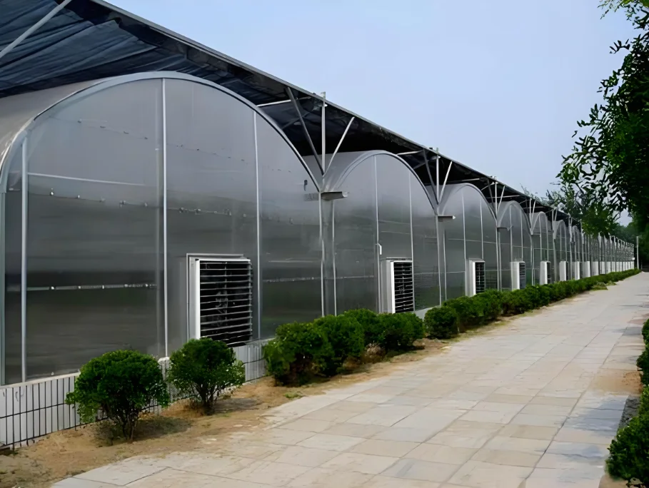 Glass multi-span greenhouse Intelligent Hydroponic Growing Systems Greenhouse from China factory