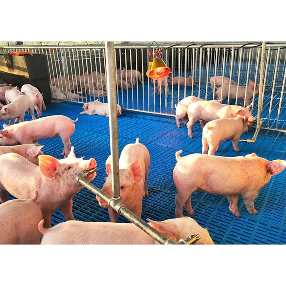 Durable Goat Slat Flooring Sheep Manure Cleaning Floors Pig Plastic Slatted Floor for Pig Sheep Equipment