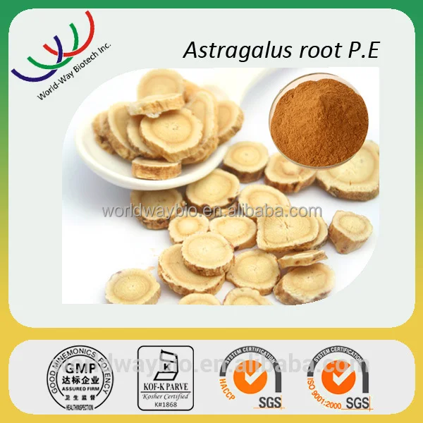 Astraglus Extract.jpg