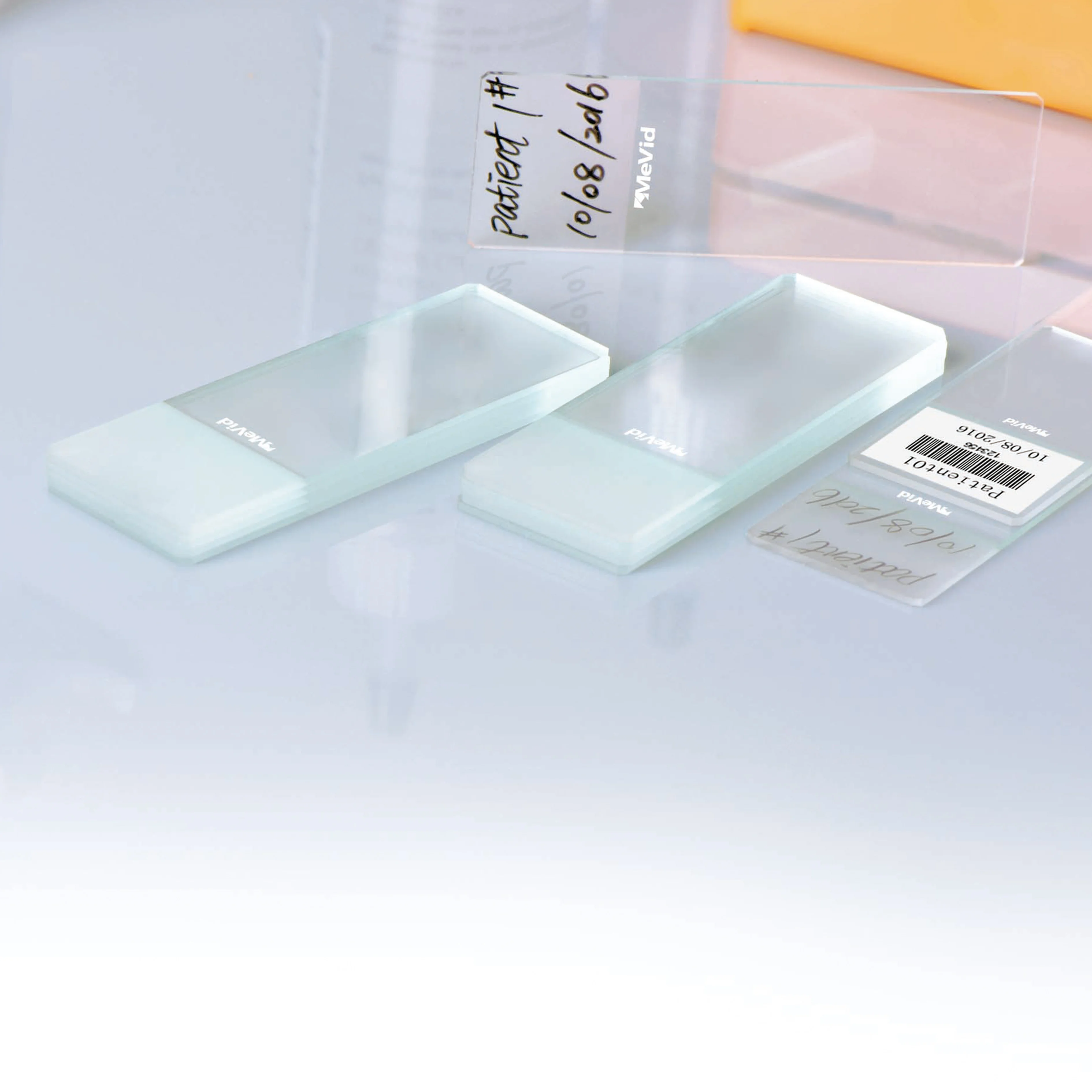 Wholesale Disposable Sinfrost Microscope Slides Lab Consumables Glass P105-1001 Transparent