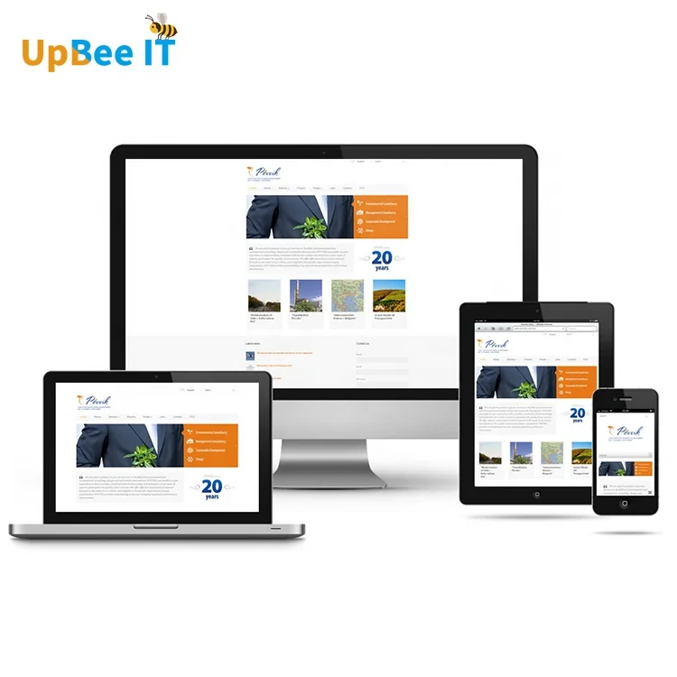 Website Designing Website & App Development E-commerce Responsive Wordpress