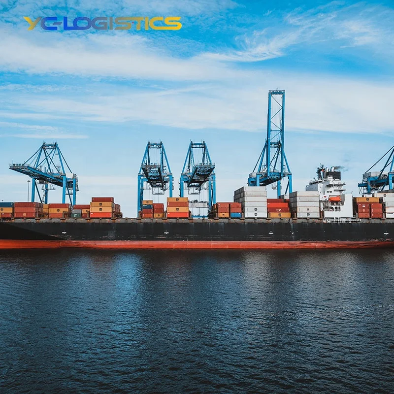 Shipping agent sea freight forwarder FBA logistics ddp door to door from China to usa and Europe