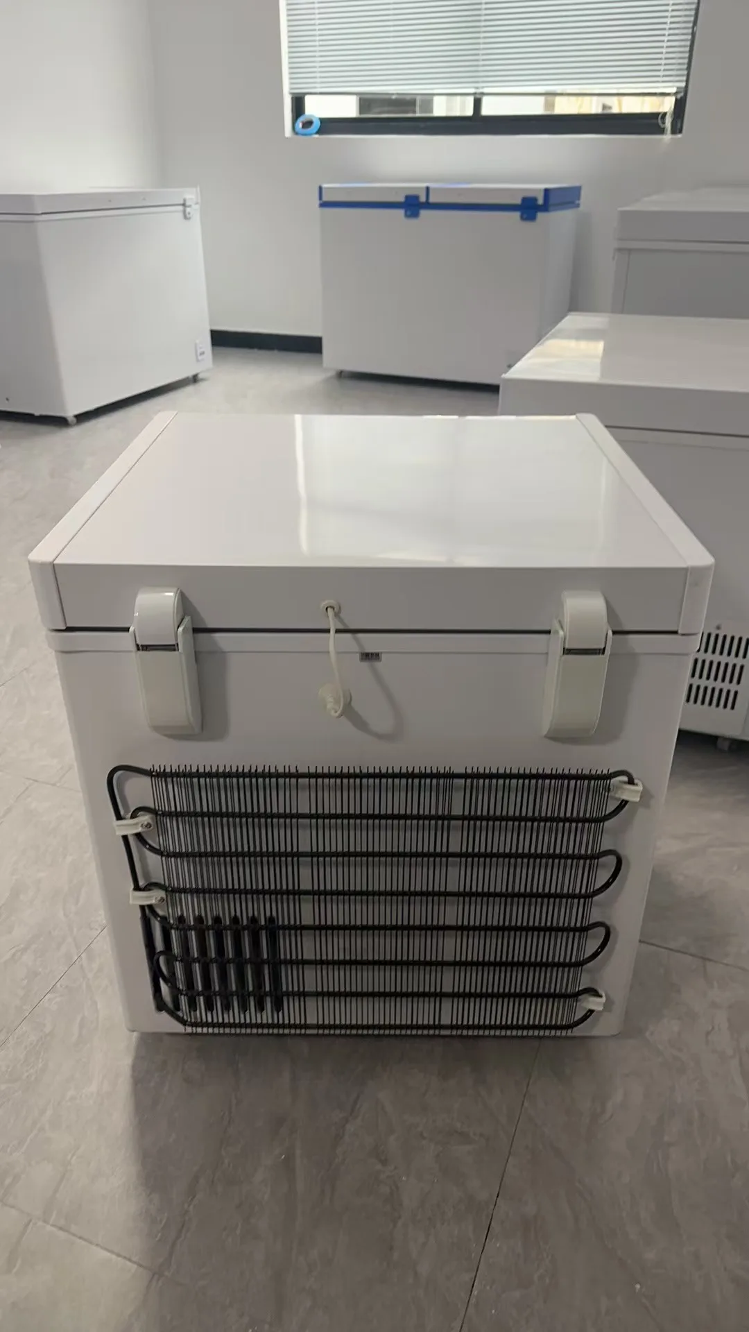 12V Small Freezer 66L