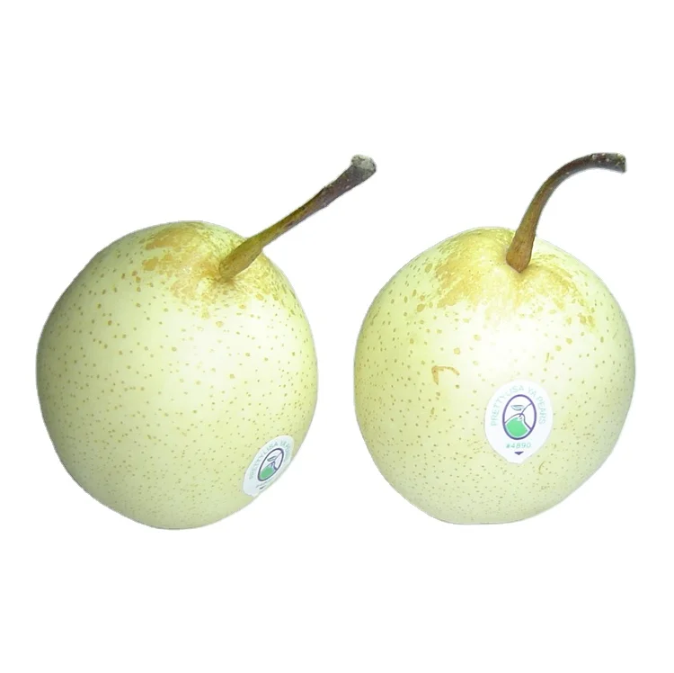 
New corp Chinese Fresh Yellow Ya Pears 2020 from China 