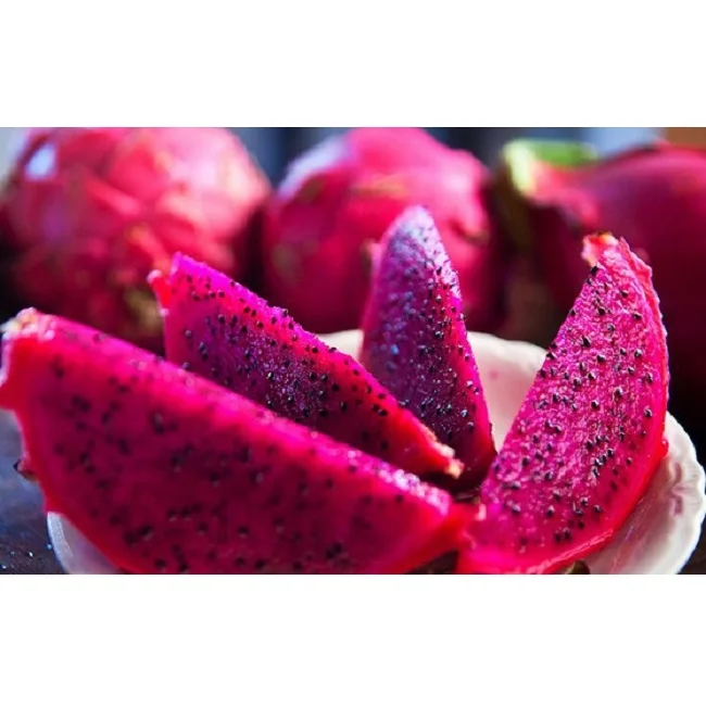 
White & Red Fresh Dragon Fruit Tropical Fruit From Vietnam 