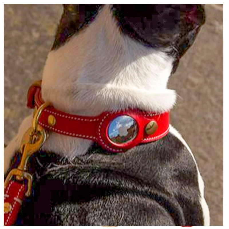 2021 Gps Custom Leather Leash Set Pet Pu Lead Wing Rope White Martingale Airtag Dog Collar Case