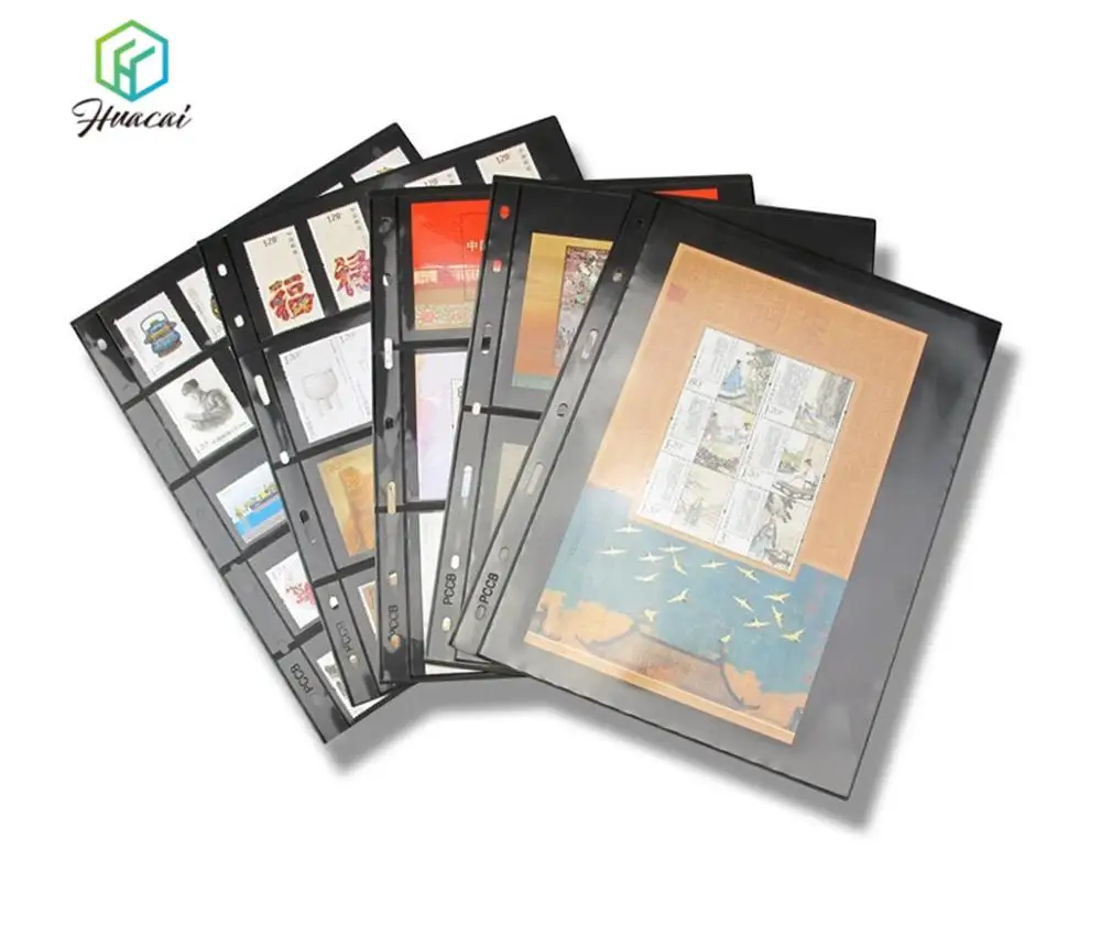 Hot selling Plastic PVC ring binder albums for coins banknote and stamps vertical 3 rows