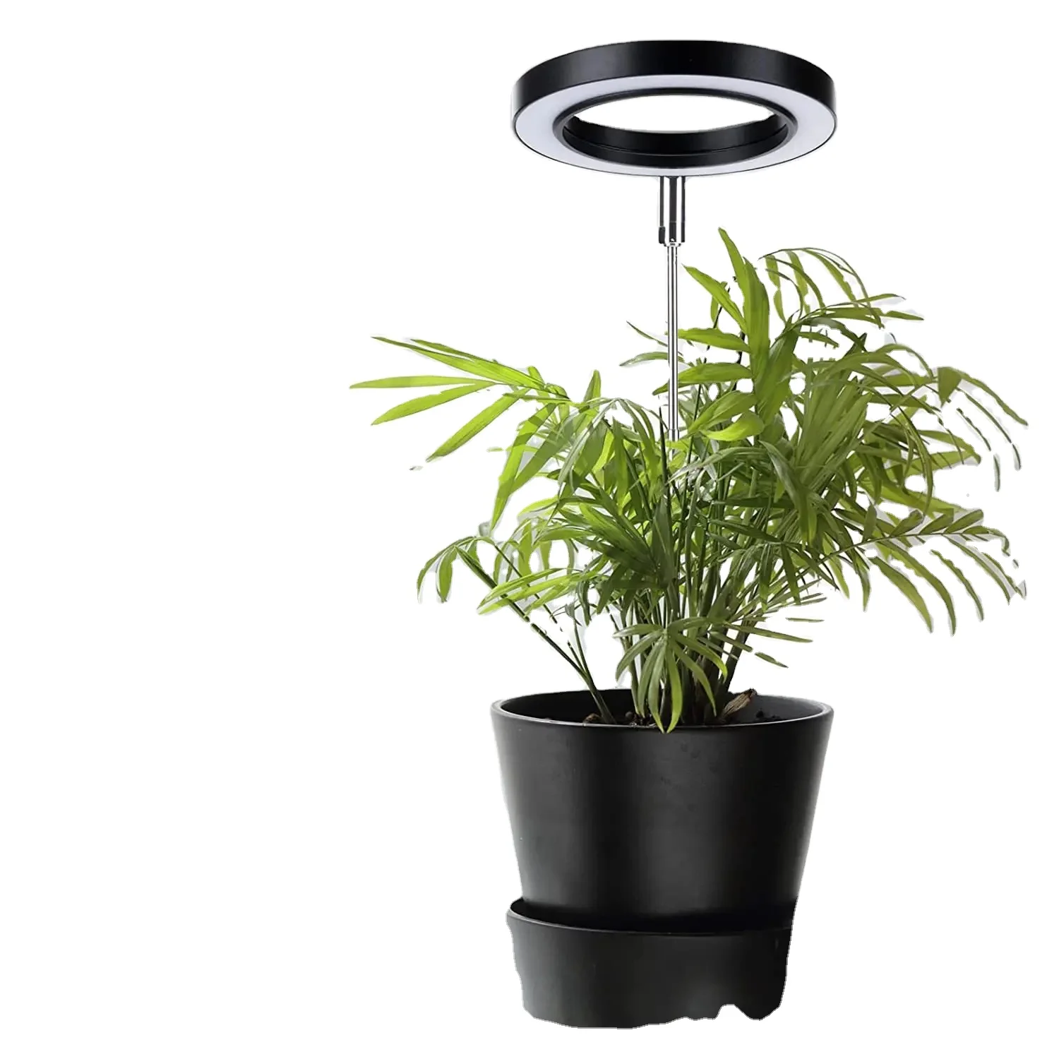 6 Watt USB Round Ring Plant Growth Light For Indoor Plants with Dimmable LED Plant Grow Lamp