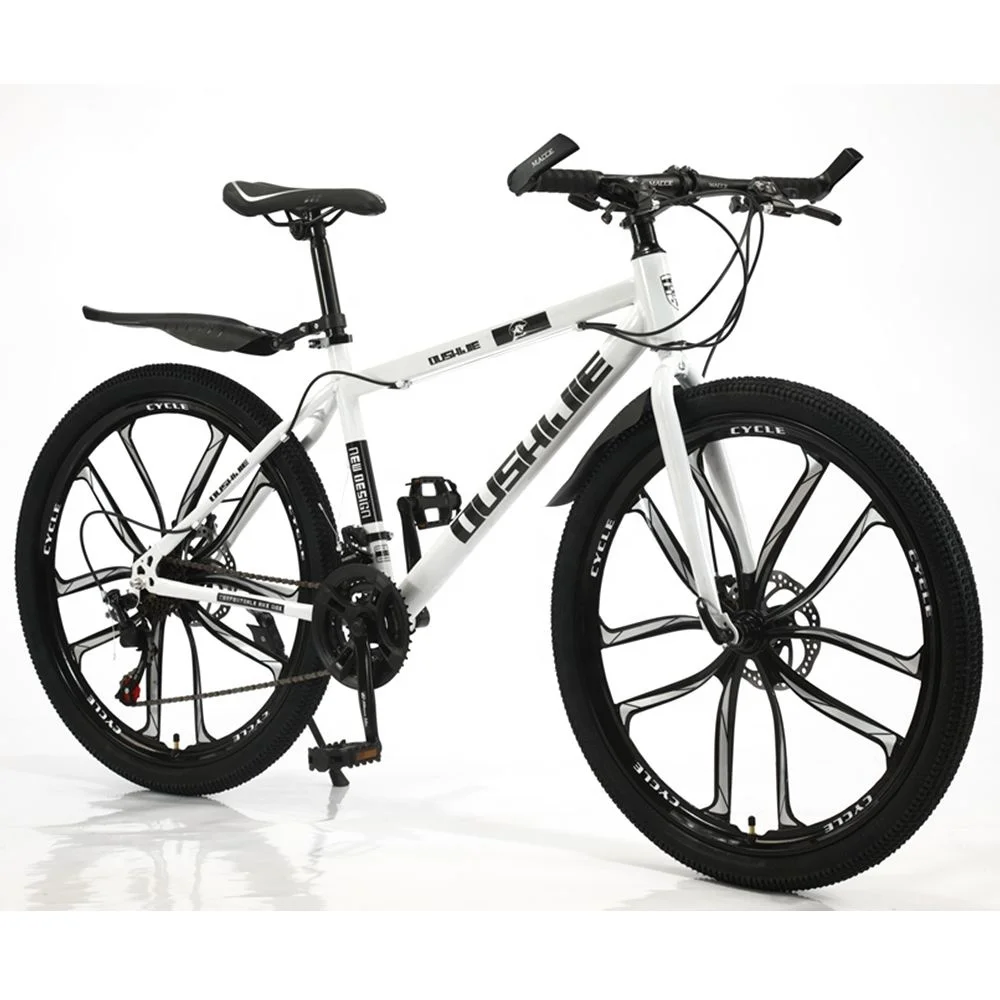US Hot Sales Off Road Velo Sport Style Cycling Two Wheels 21 Speed 3 Spokes Bicicleta Fast Speed Fahrrad Bicycle Mountain Bike
