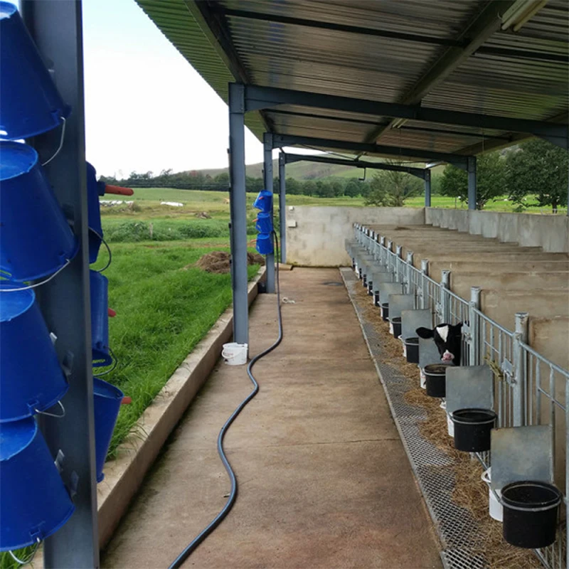 small prefab cattle house / galvanized steel portal frame cow sheds with metal materials