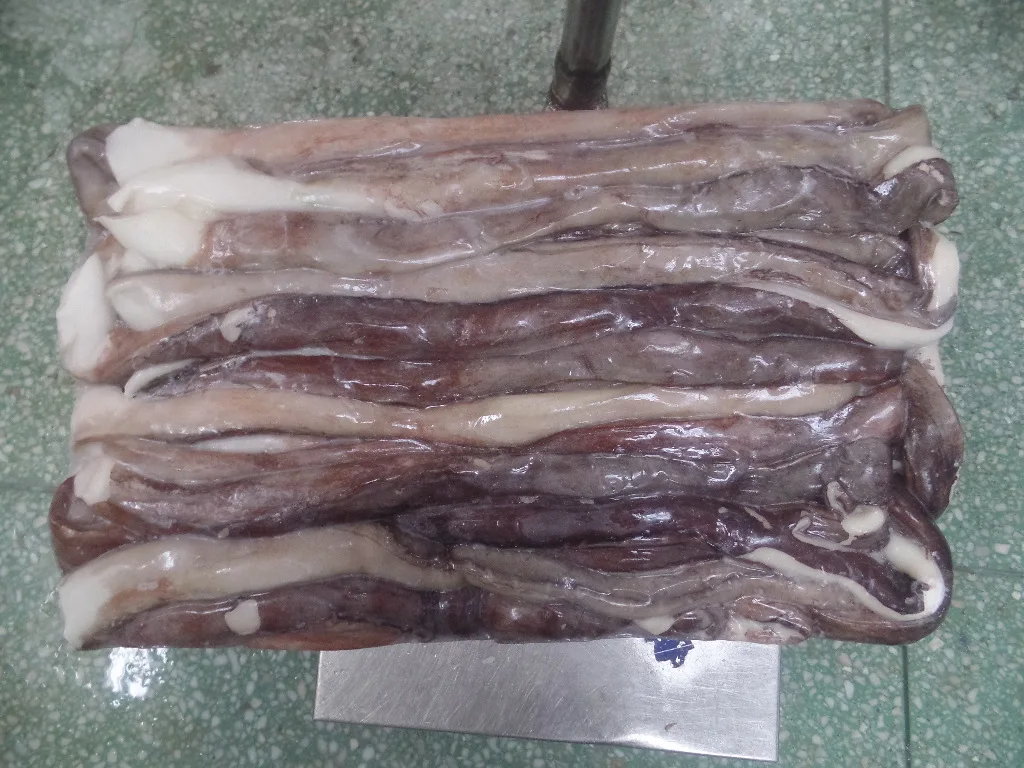 Giant Squid Frozen Squid Head Tentacles