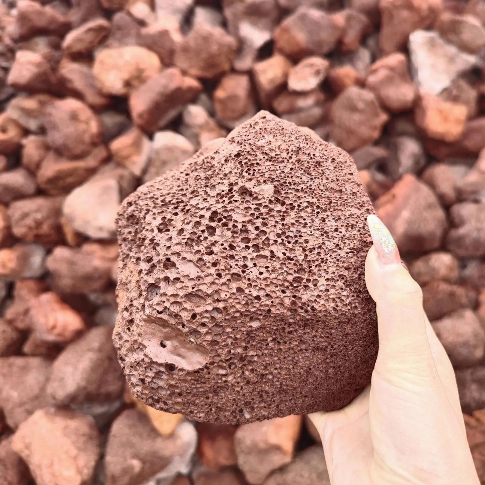 Factory Price: Natural Red Black Large Volcanic Rock for Sale lava Wholesale