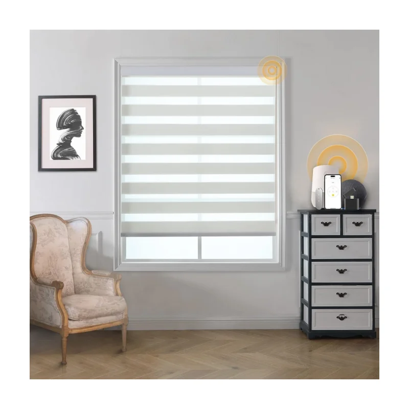 Smart Zebra Blinds White Dual Layer Blackout Shades Motorized Zebra Blinds For Indoor Windows
