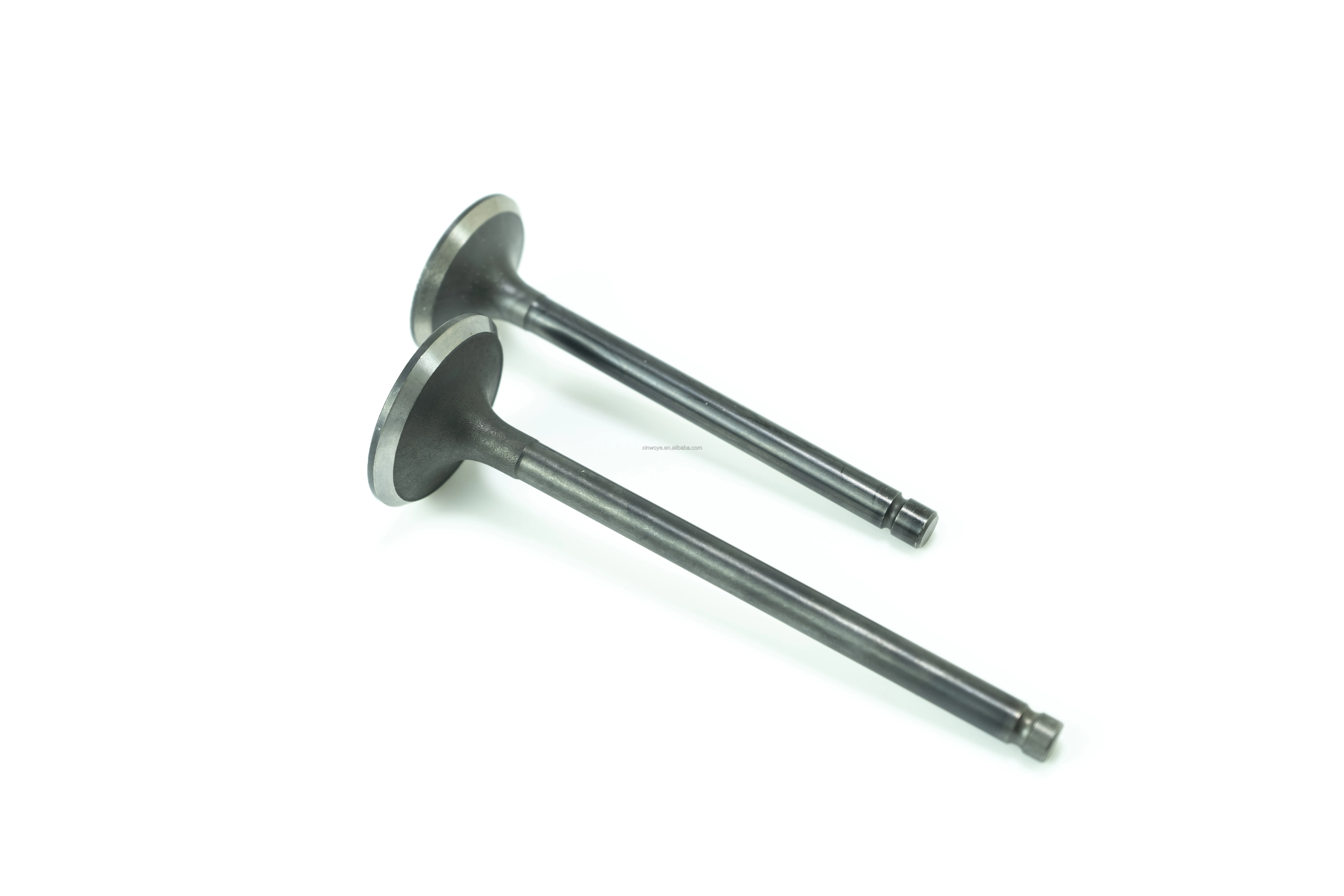 Engine Valve CHERY 480E-1107011 480EF-11070121 For A12 FORA