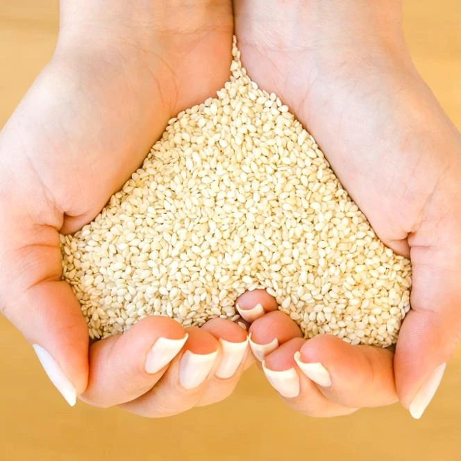 Premium Grade Susam Sesame Seeds