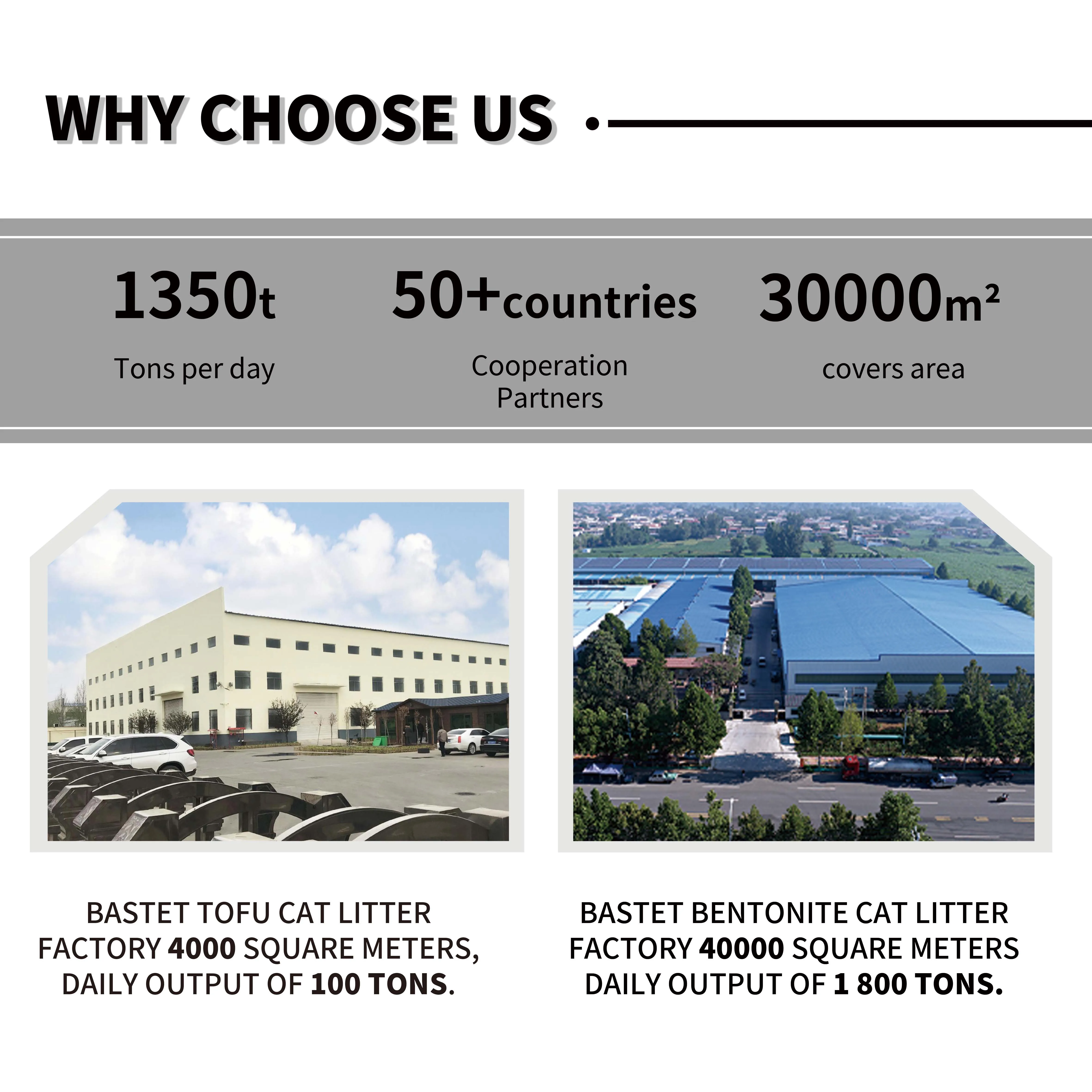 Popular Arena Para Gatos OEM ODM Factory Wholesale Meek Dust Free Catlitter Premium Kitty Clumping Sand Bentonite Cat Litter
