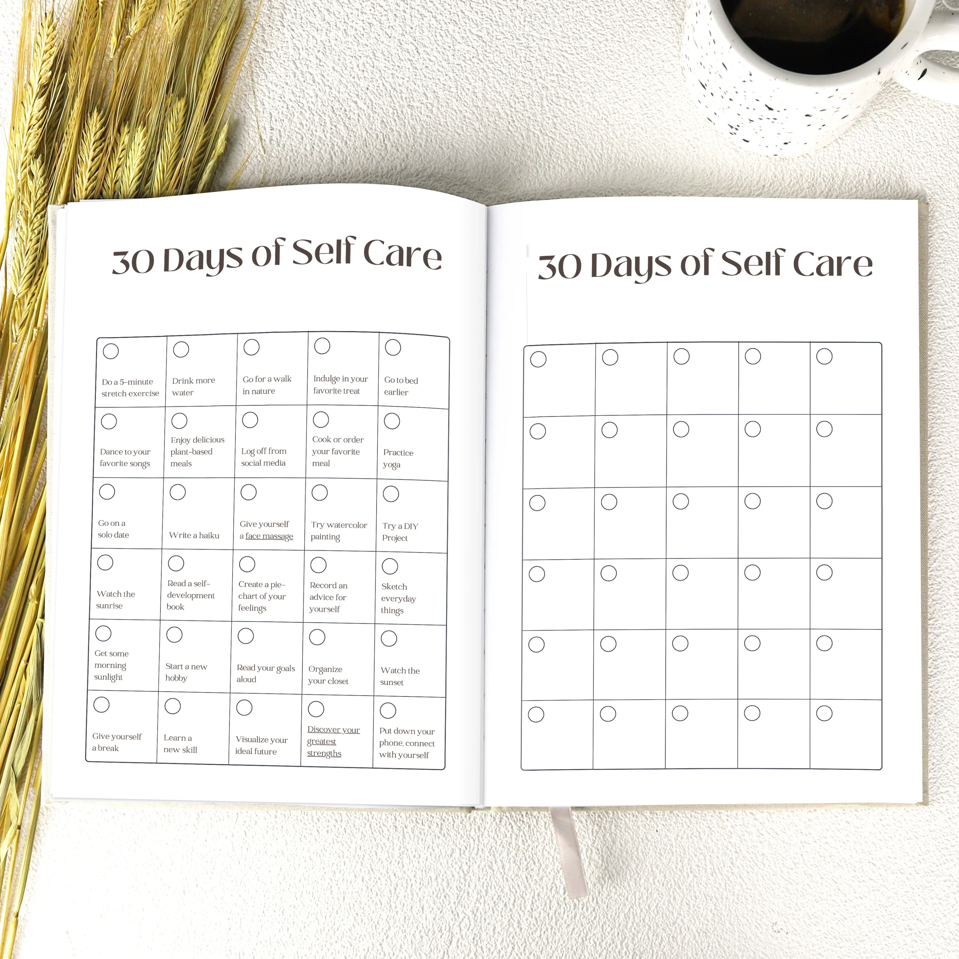 Free samples Luxury gifts My daily self-care Health 2023 Customized daily gratitude Active journal planner notebook
