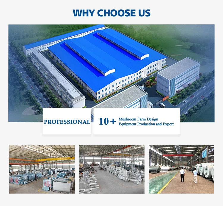 Mushroom growing equipment square double door autoclave sterilizer substrate sterilizing machine for production