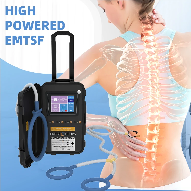Magnetic Therapy Device Pemf Pulsed Electromagnetic Field physio magneto therapy machine pemf therapy mat For Pain Relief