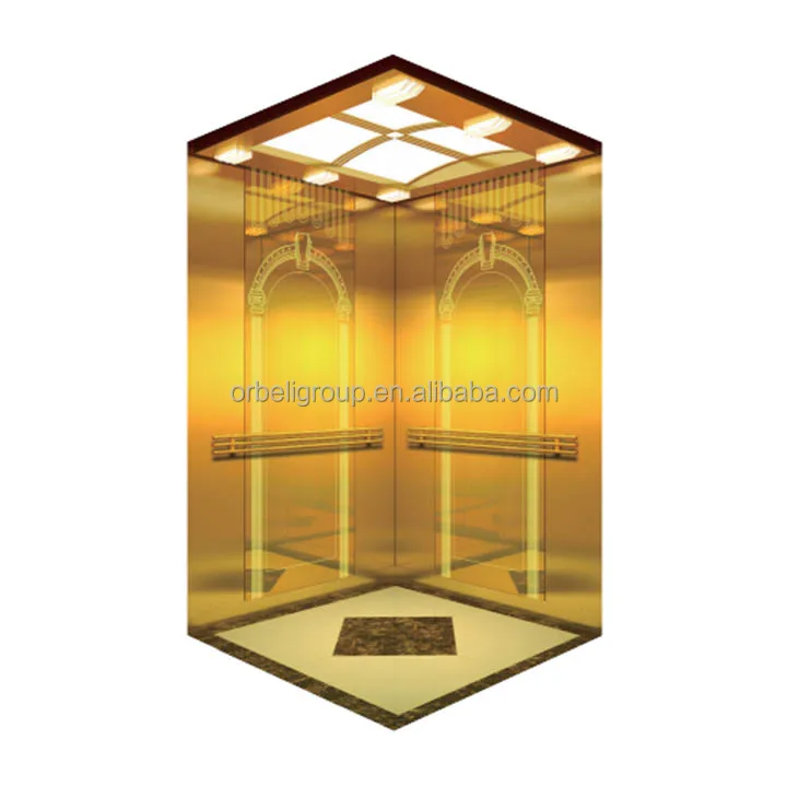 Customized Passenger Elevator Cheap Price 450kg 630kg 800kg Golden Design Hotel Elevator Villa Lift