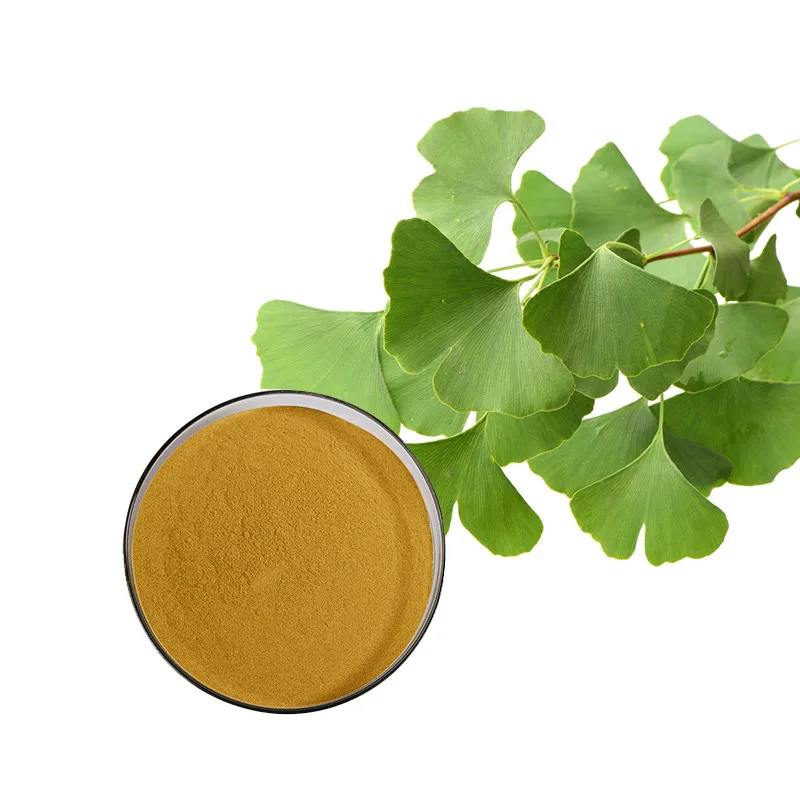 Kosher Organic Ginkgo Biloba Extract Water Soluble Dried Leaves Powder Food Grade Herbal Supplement in Drum Packaging