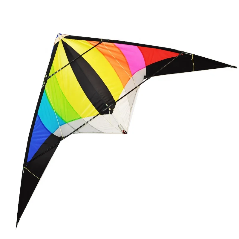 Customized Outdoor toys dual line delta stunt kite for
