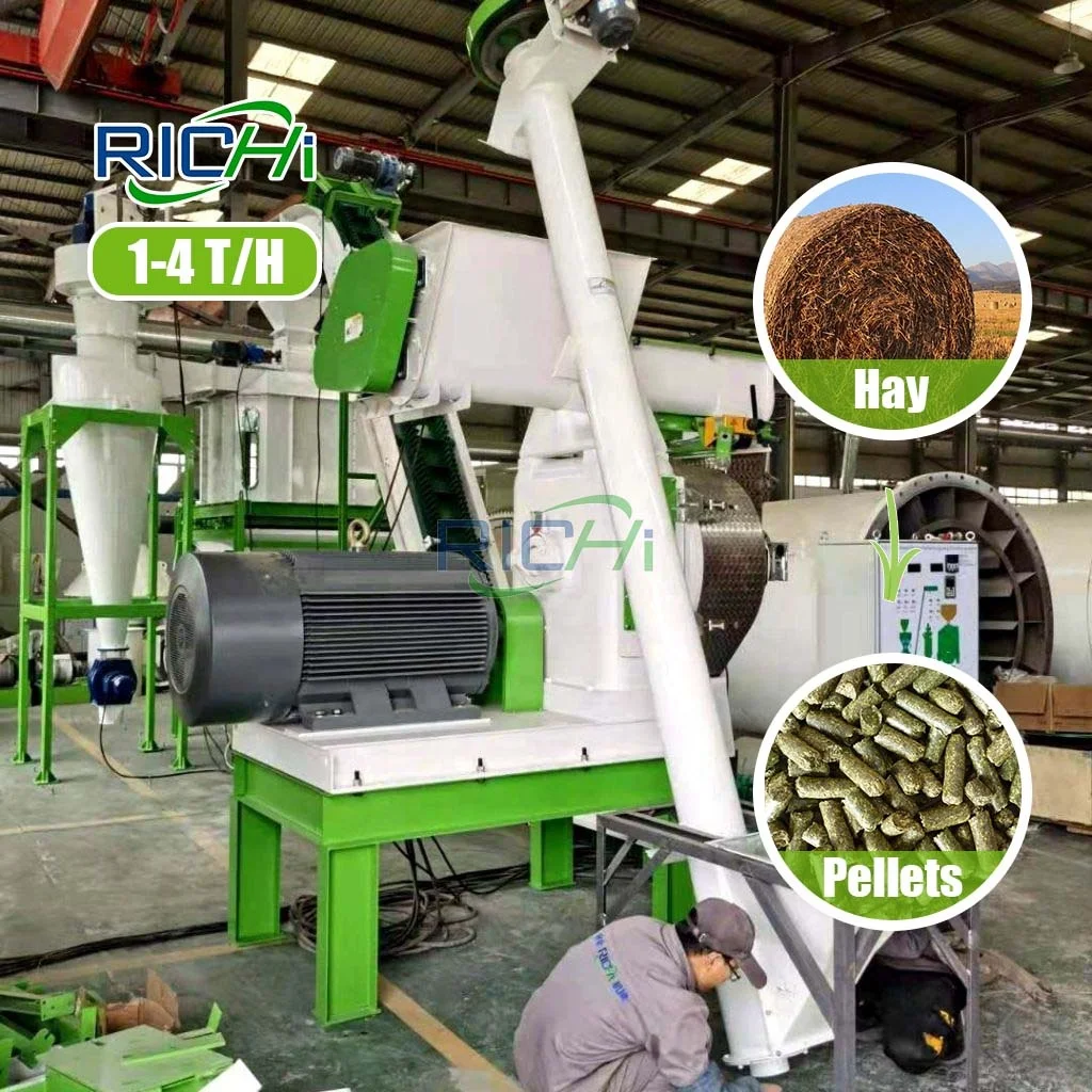 Richi 1-4 T/H Grass Alfalfa Pellet Mill Hay Pellet Machine For Sale