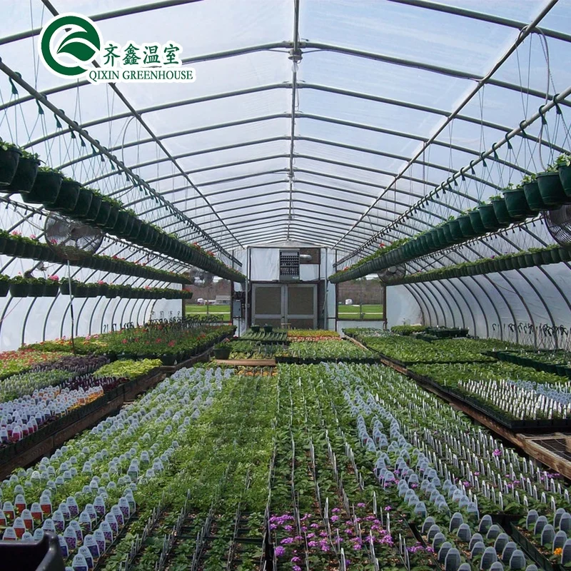 single span film greenhouse mushroom growing equipment