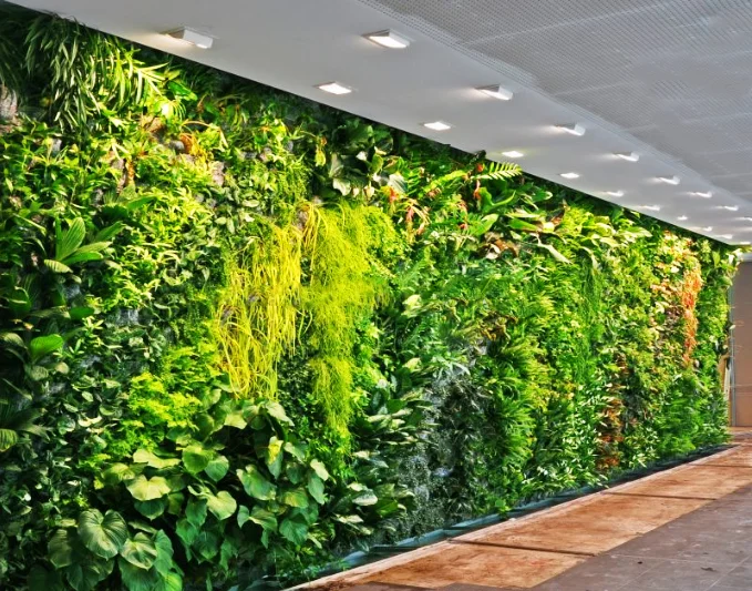 decor plants wall.png