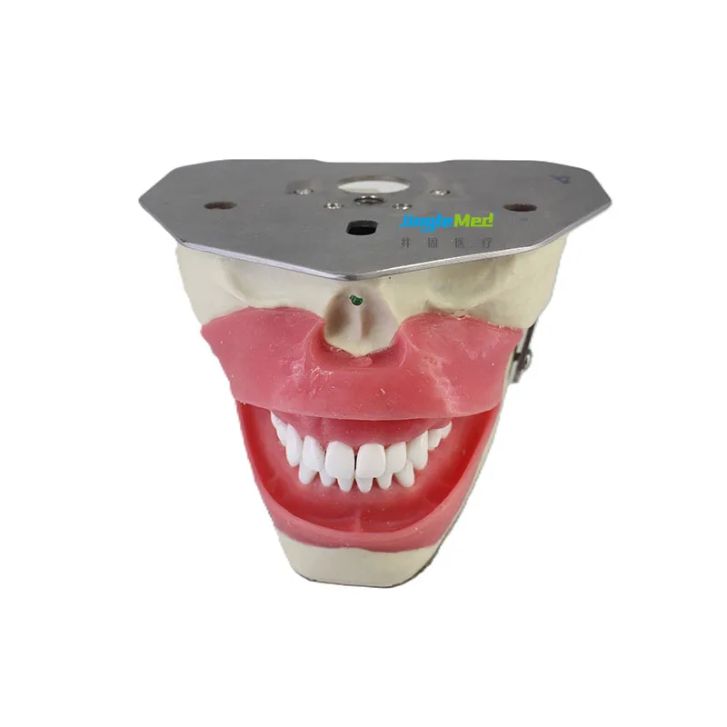 Медицинская наука стоматологический симулятор оральной анестезии манекен тренажер Стоматологическая проводящая Анестезия модель