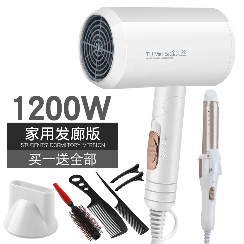 Anion Mini Professional Student Dormitory Blow Dryer Hotel Foldable Hair Dryer