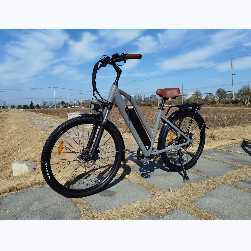 2021 Vintage 48V 14AH Battery Electric City Bike 48V 500W 27.5 Inch Step Through Ebike for Women
