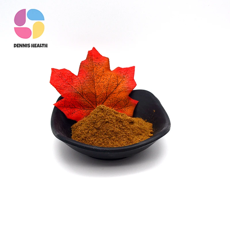 Plant Extract Powder Rosemary Extract  Carnosic Acid 10% 20% 30% 50% 60%