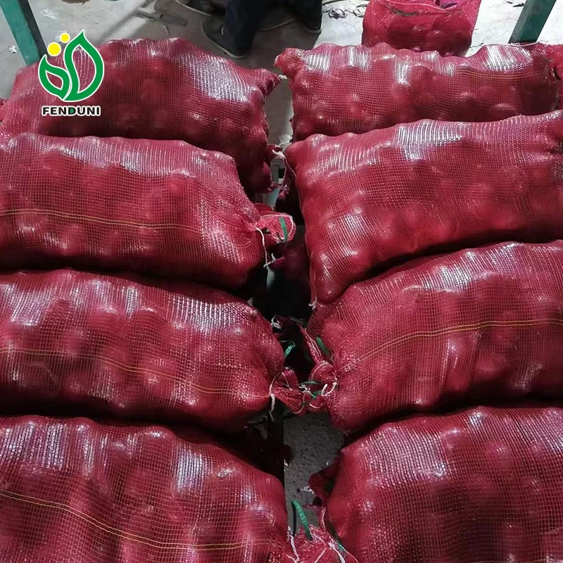 2024 New Crop Order Cheap Price Onion from China ( Red Onion/Yellow Onion)