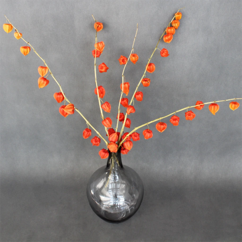Yunnan Factory Wholesale Real Ground Cherry Chinese Lantern Natural Physalis alkekengi Flower Dried Flowers for Home Decor